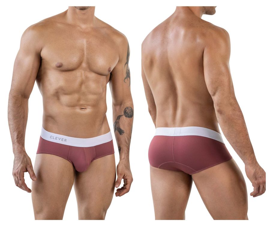 Clever 1863 Lecler Briefs Color Grape