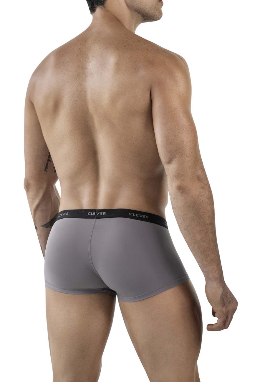 Clever 1866 Tokio Trunks Color Gray
