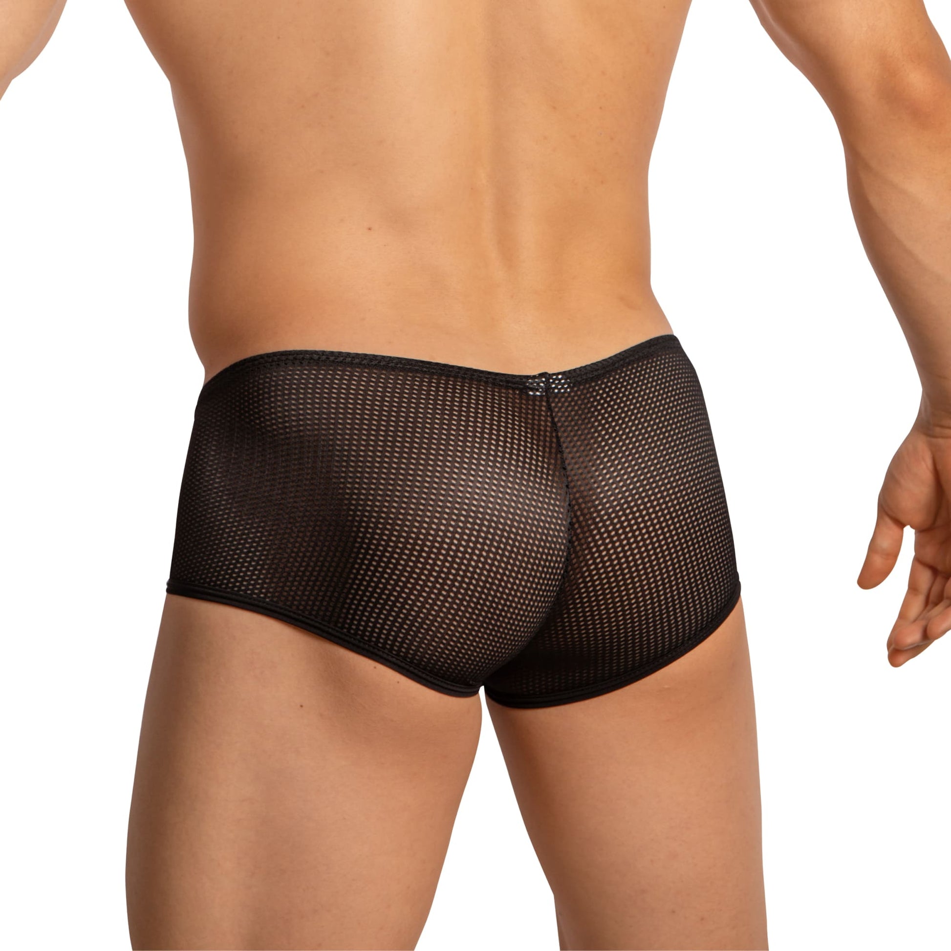 Edipous EDJ022 Brief