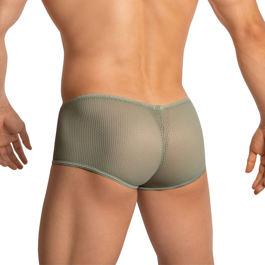 Edipous EDJ022 Brief