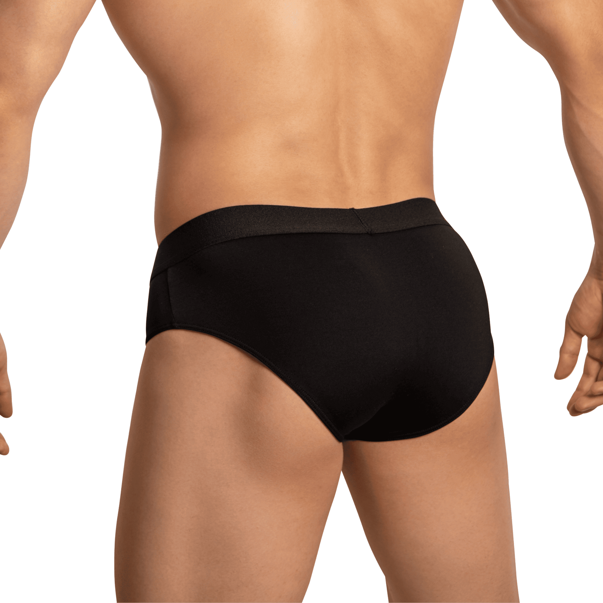 Edipous EDJ023 Brief