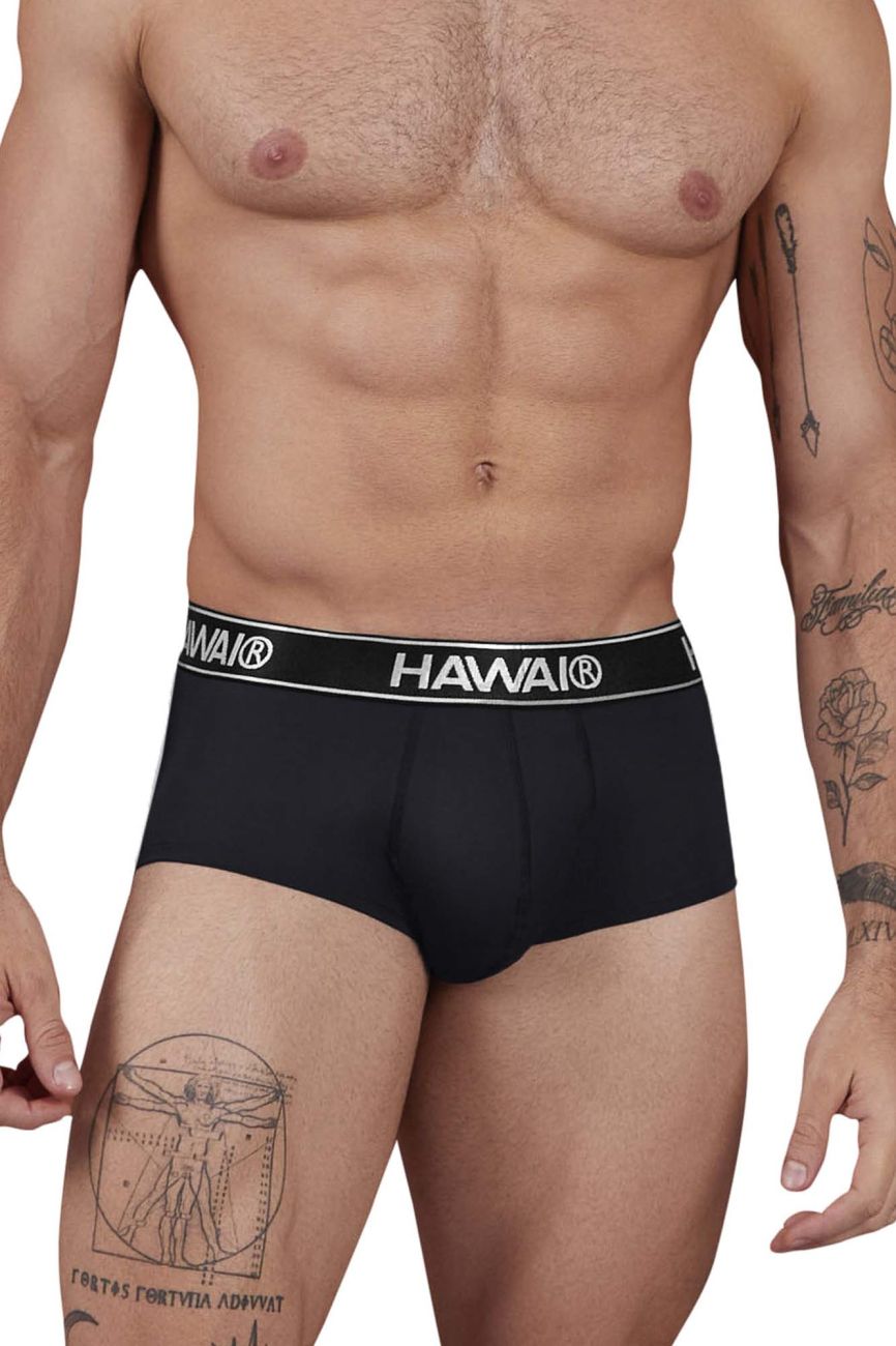 HAWAIR 41961 Microfiber Briefs Color Black