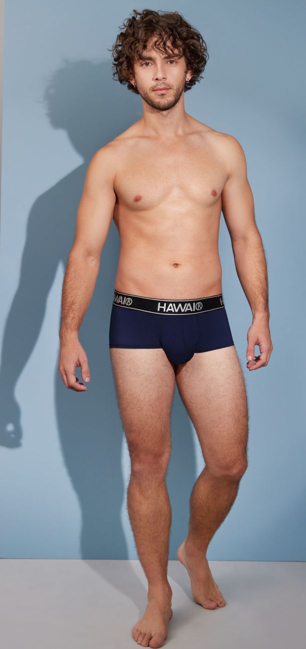 HAWAIR 41961 Microfiber Briefs Color Dark Blue