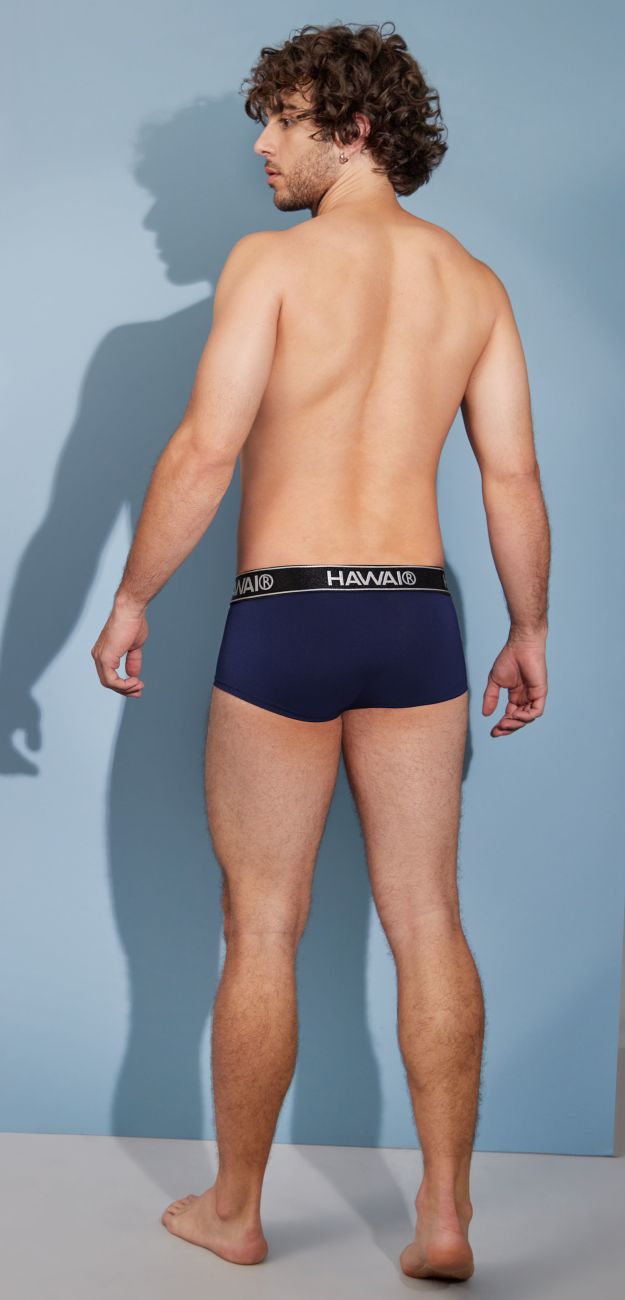 HAWAIR 41961 Microfiber Briefs Color Dark Blue
