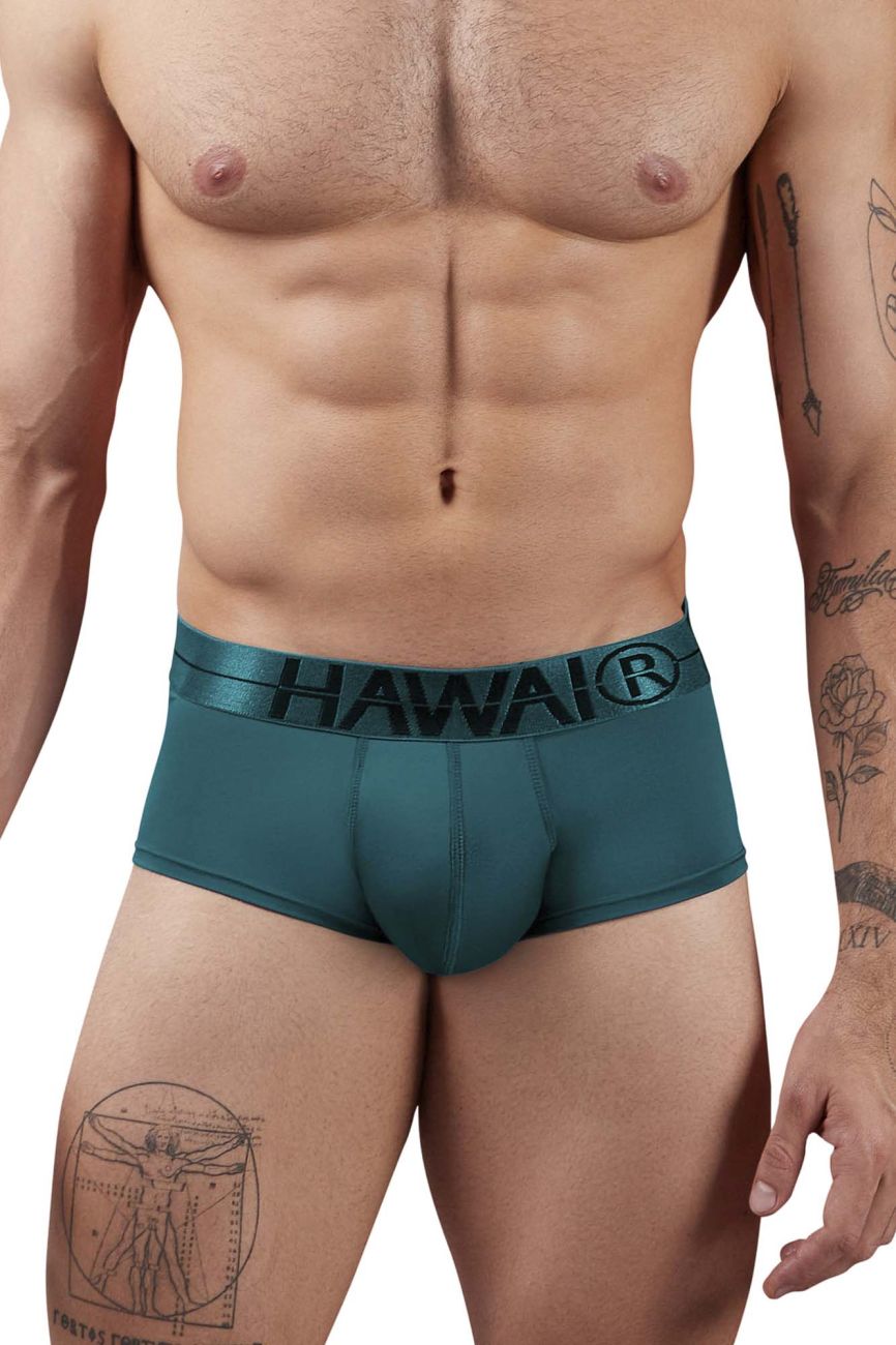 HAWAIR 41961 Microfiber Briefs Color Green