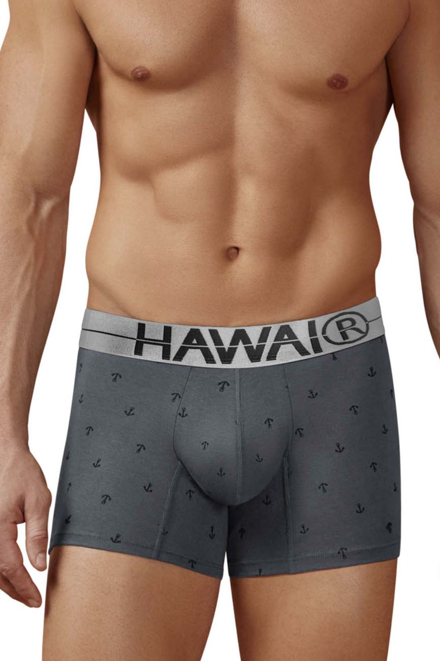 HAWAIR 42521 Cotton blend Trunks Color Gray