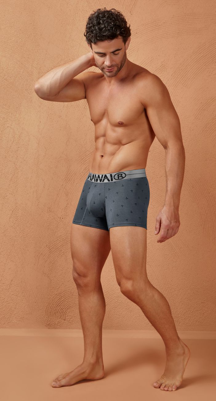 HAWAIR 42521 Cotton blend Trunks Color Gray