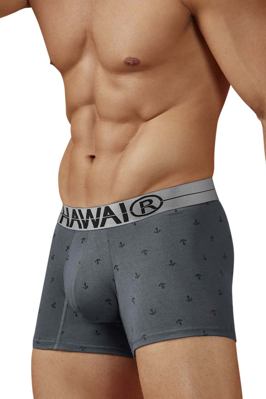 HAWAIR 42521 Cotton blend Trunks Color Gray