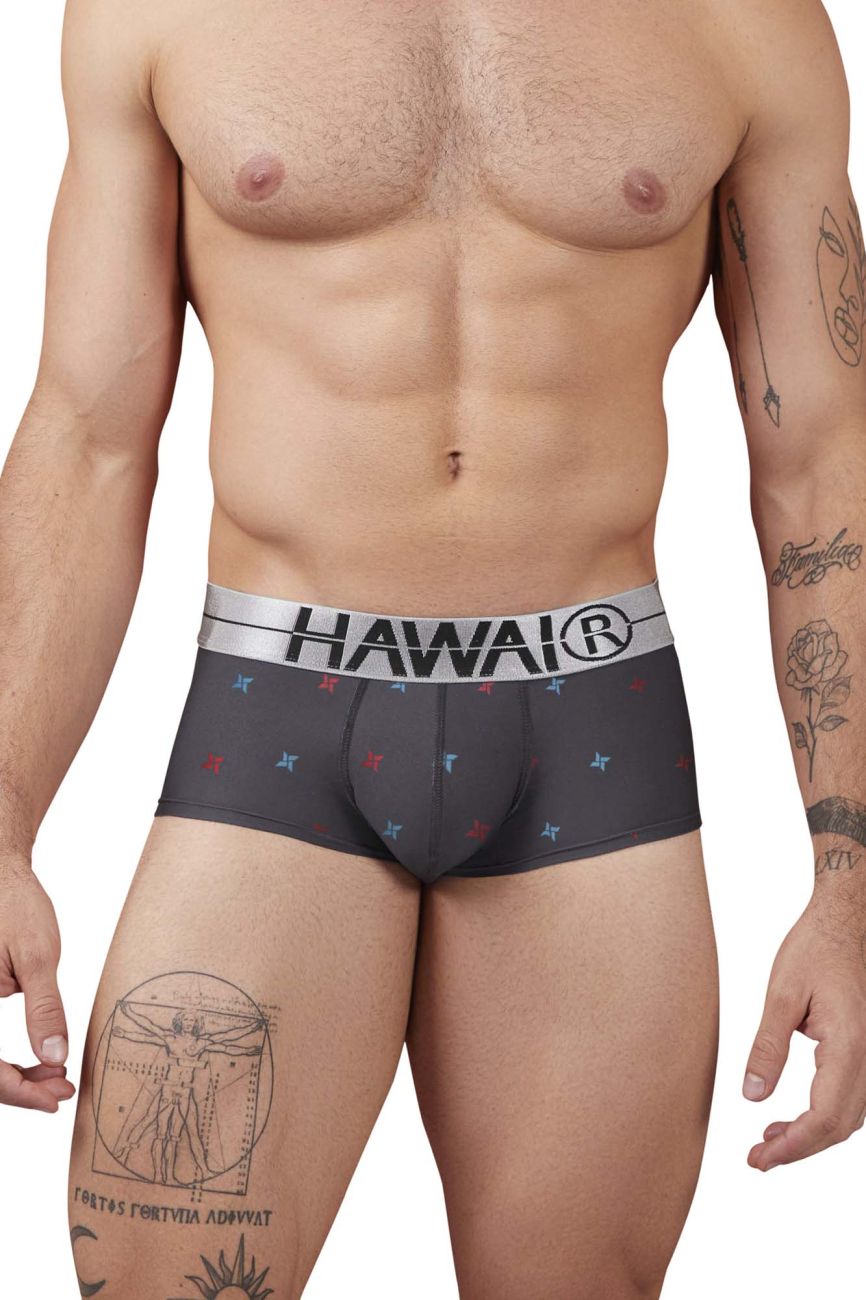 HAWAIR 42530 Printed Microfiber Briefs Color Gray