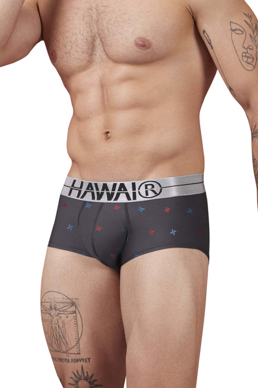 HAWAIR 42530 Printed Microfiber Briefs Color Gray