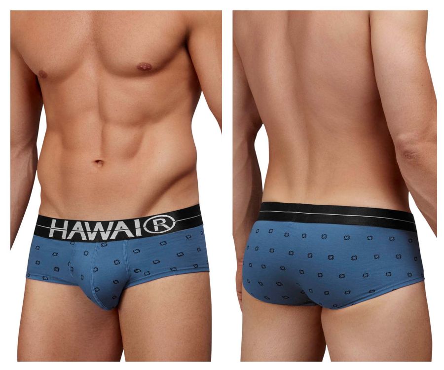 HAWAIR 42531 Cotton blend Briefs Color Blue Quartz