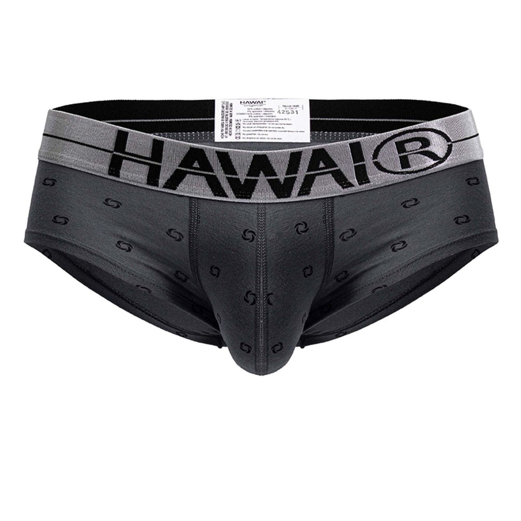 HAWAIR 42531 Cotton blend Briefs Color Gray