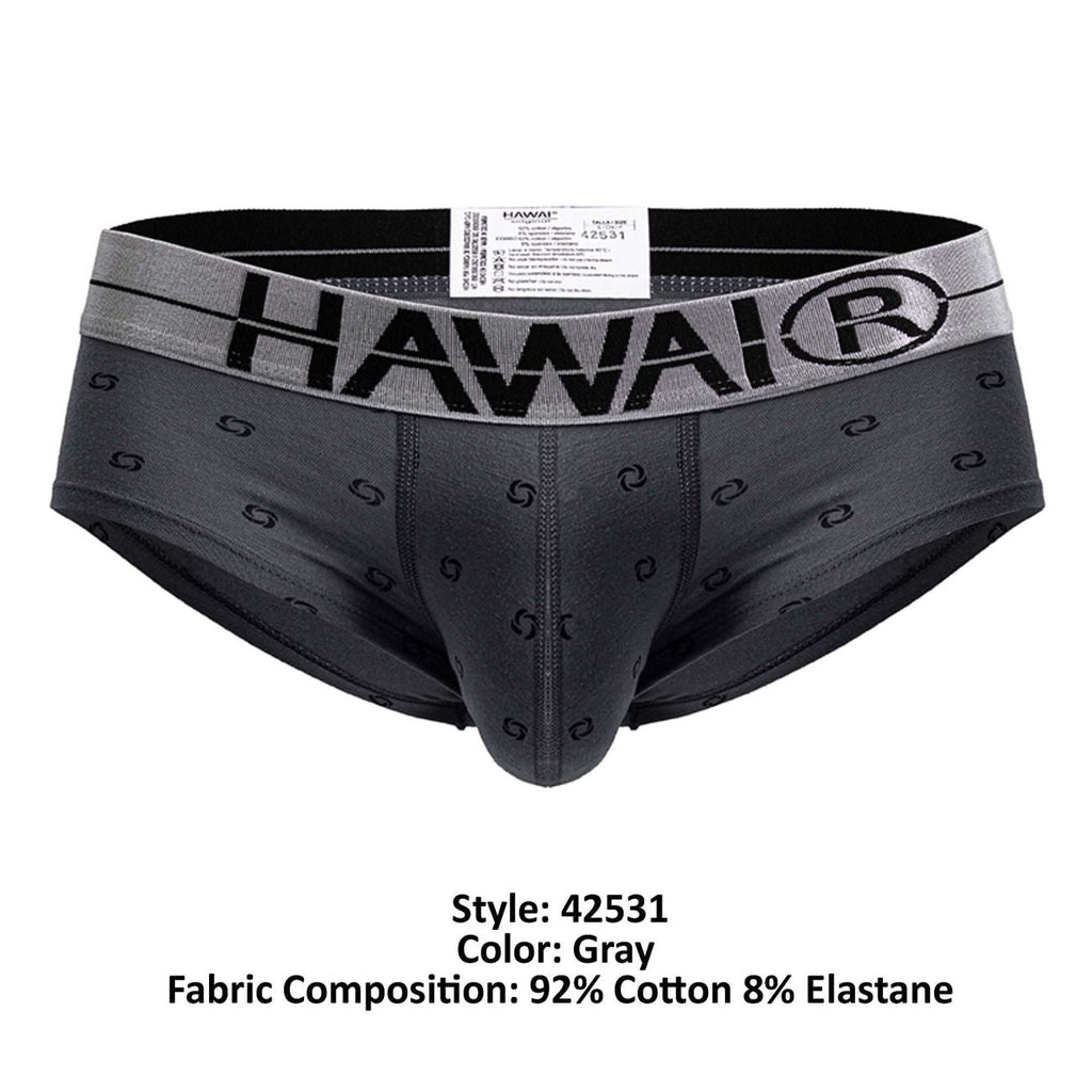 HAWAIR 42531 Cotton blend Briefs Color Gray