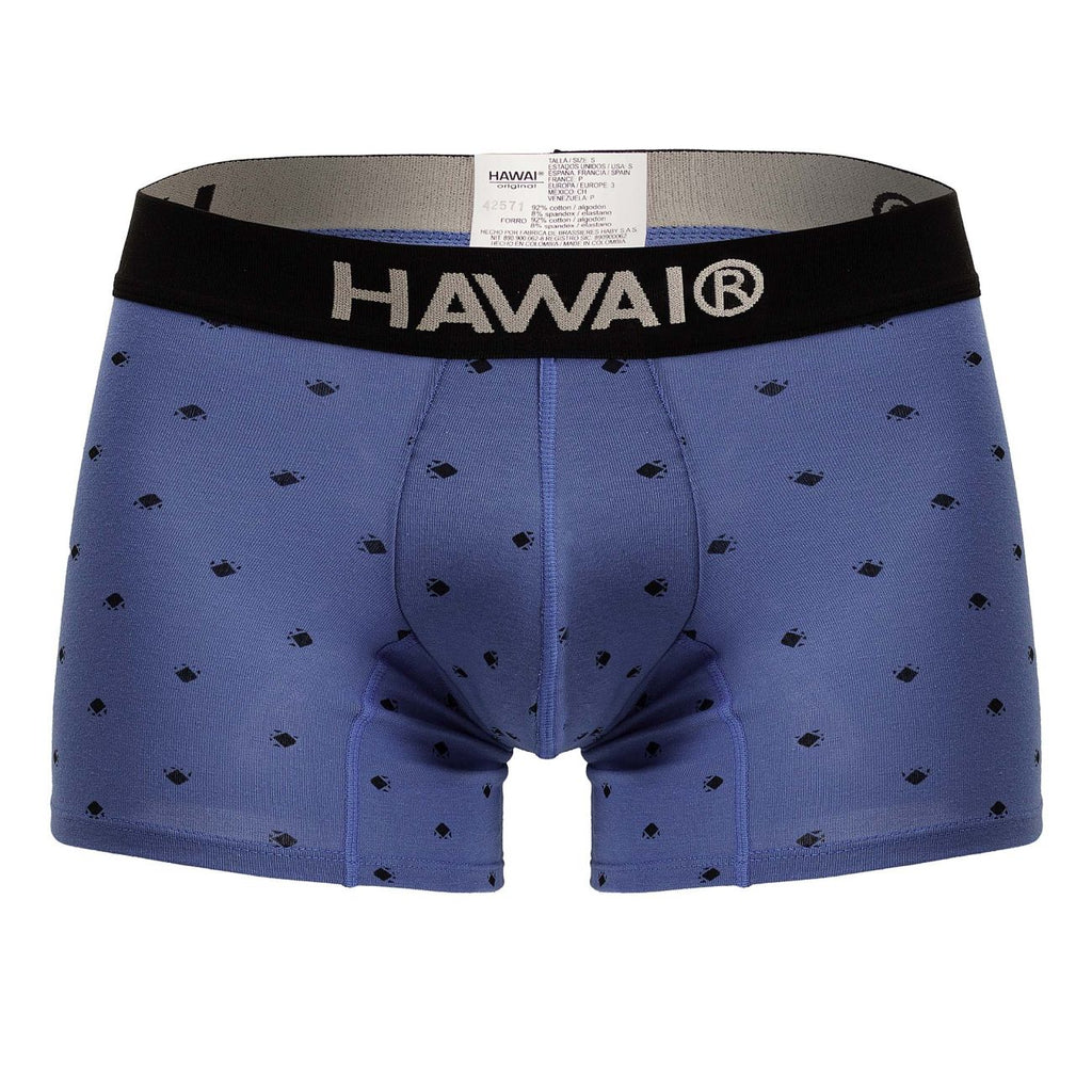 HAWAIR 42571 Cotton blend Trunks Color Blue Quartz