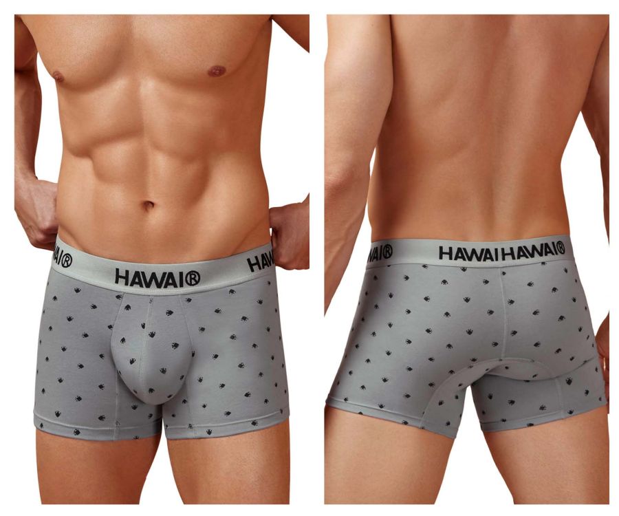 HAWAIR 42571 Cotton blend Trunks Color Gray