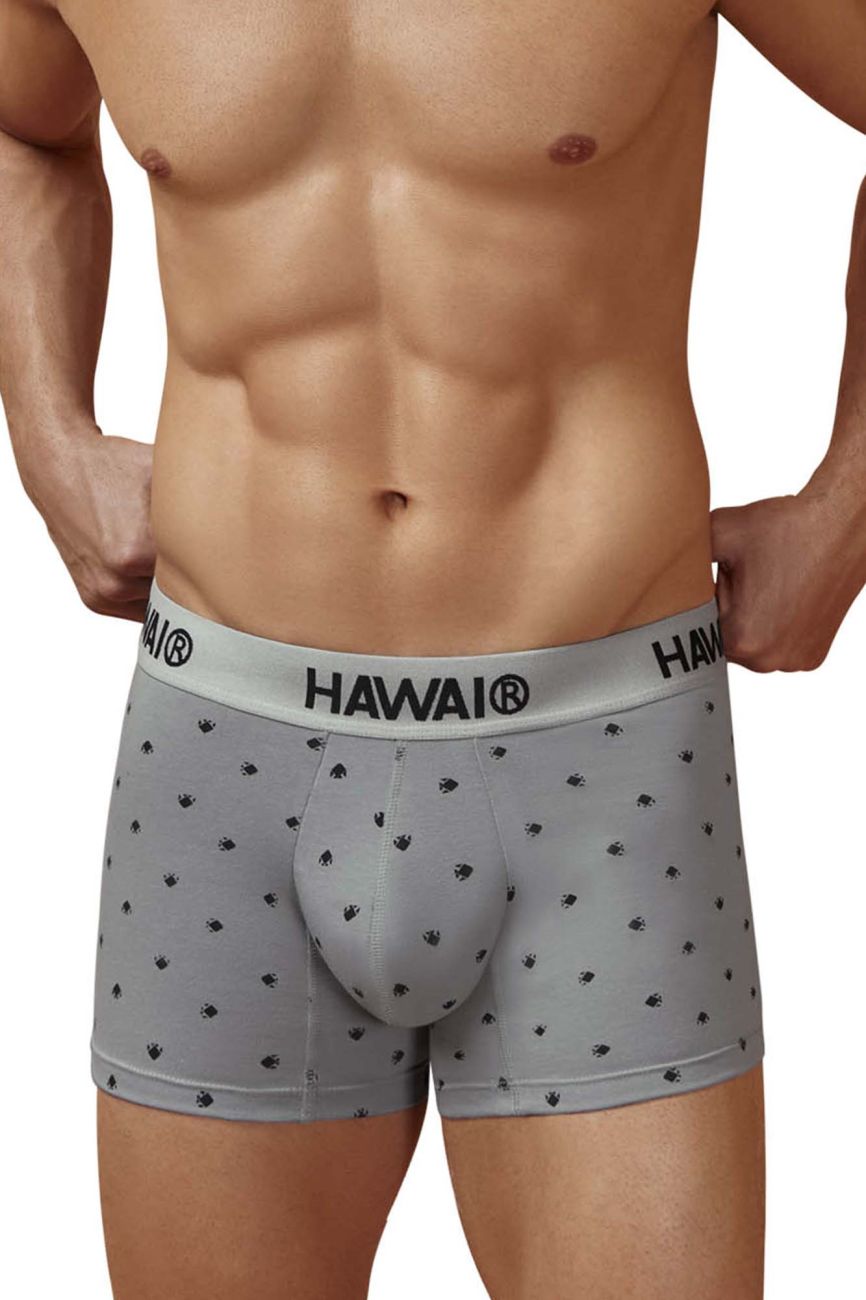 HAWAIR 42571 Cotton blend Trunks Color Gray