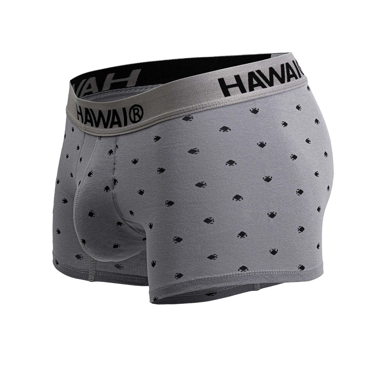 HAWAIR 42571 Cotton blend Trunks Color Gray