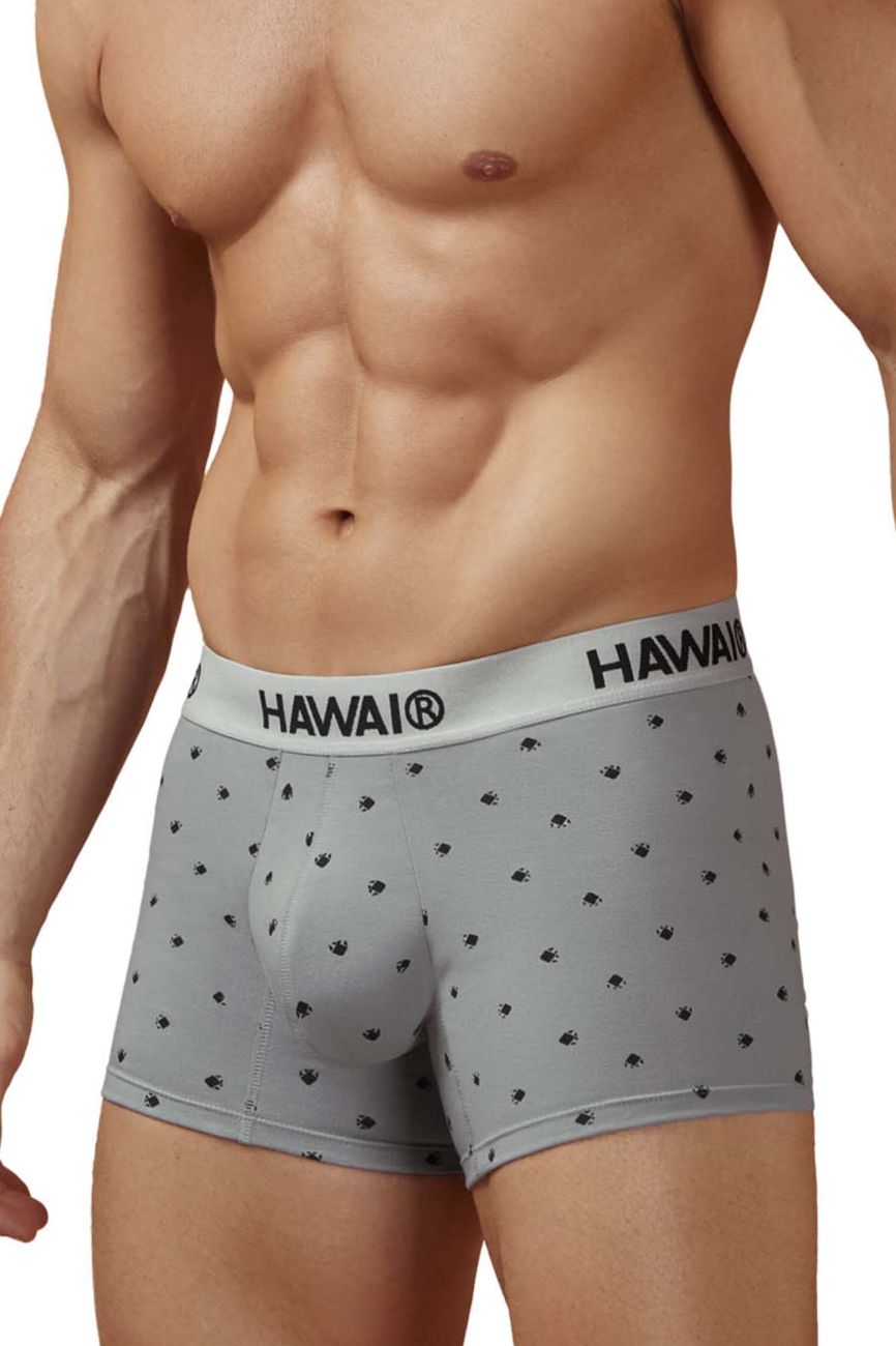 HAWAIR 42571 Cotton blend Trunks Color Gray