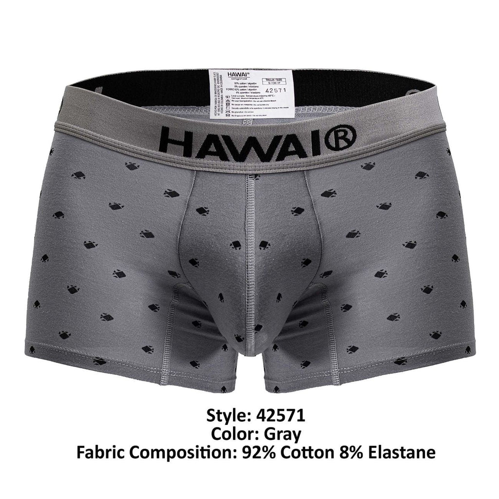 HAWAIR 42571 Cotton blend Trunks Color Gray