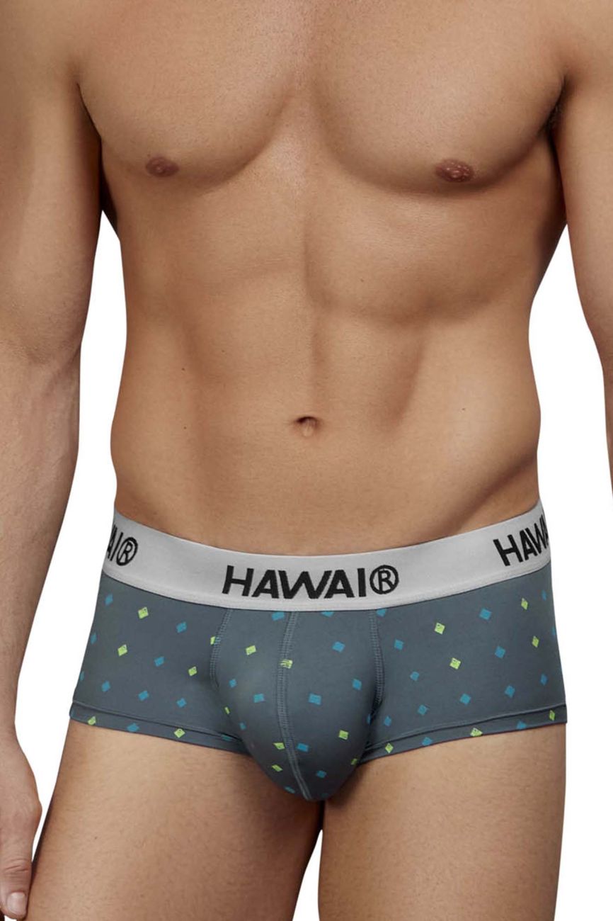 HAWAIR 42580 Microfiber Briefs Color Gray