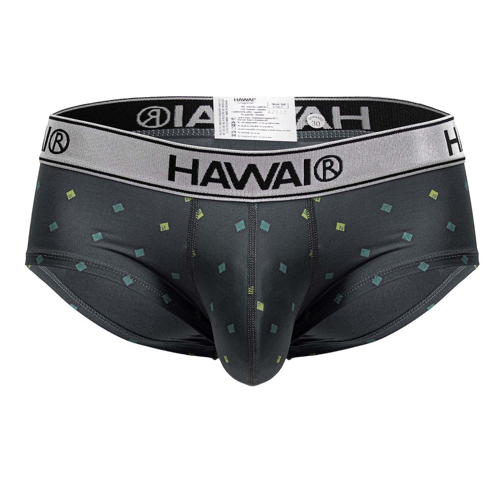 HAWAIR 42580 Microfiber Briefs Color Gray