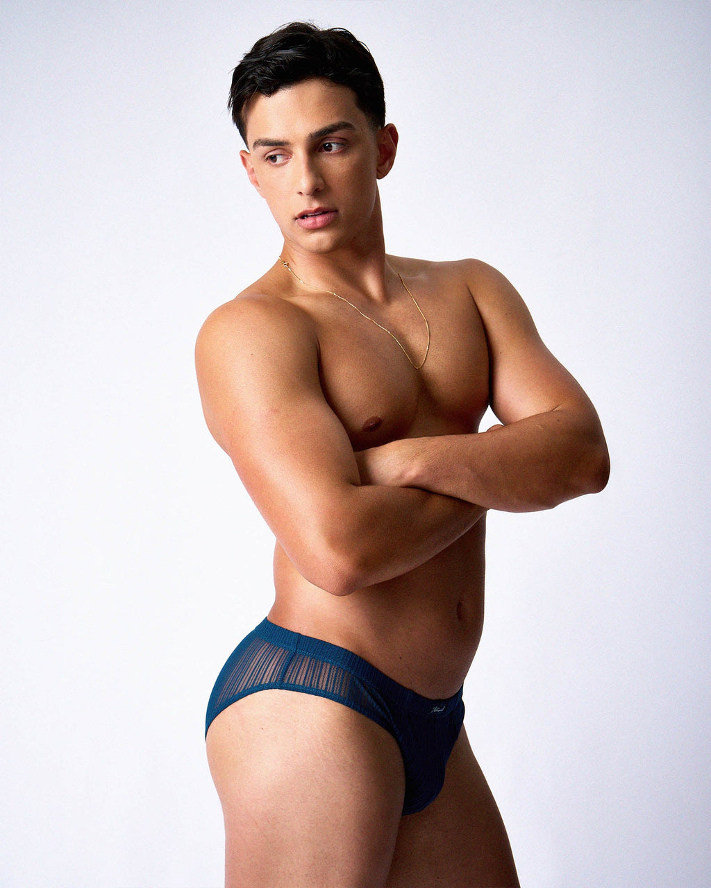 Romeo Sheer Bikini Brief - Abyss