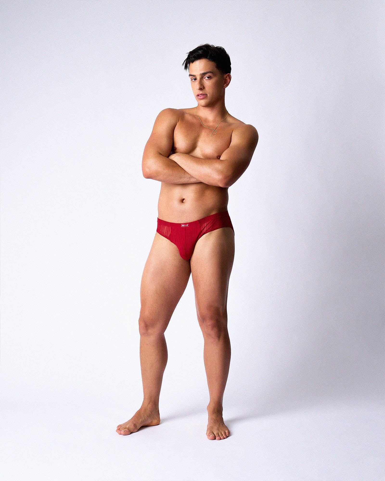 Romeo Sheer Bikini Brief - Cherry