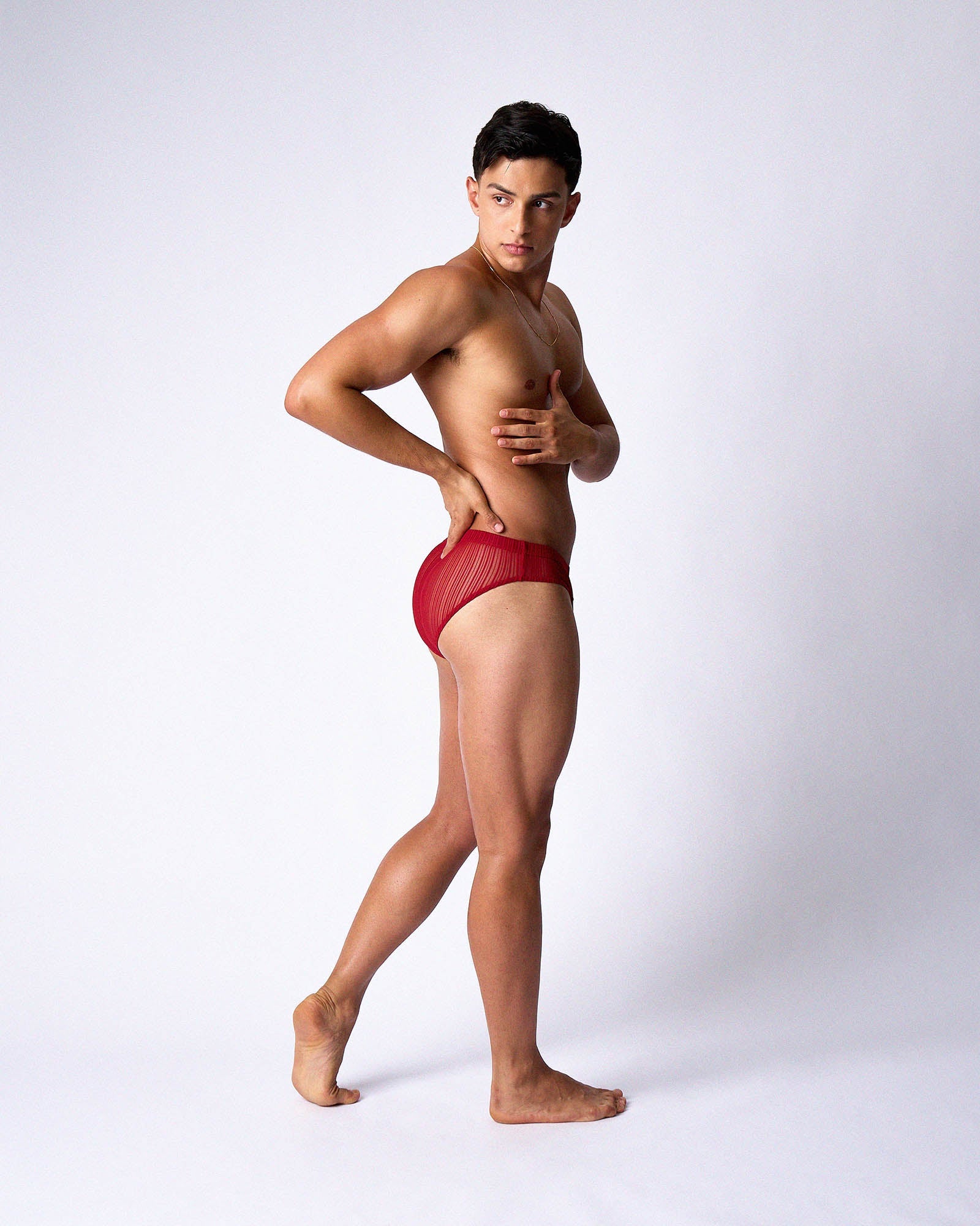 Romeo Sheer Bikini Brief - Cherry