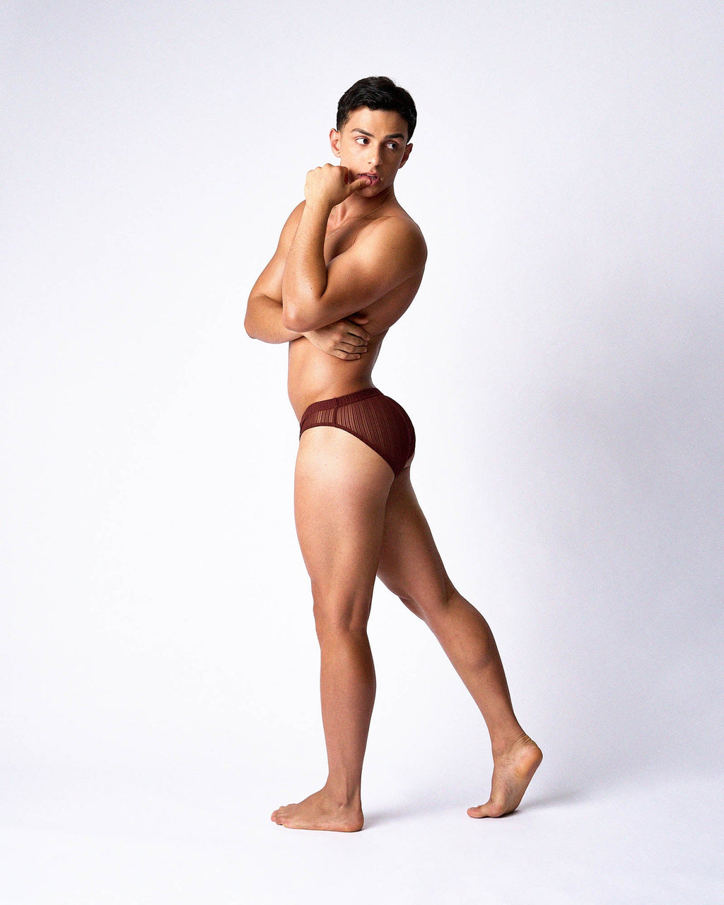 Romeo Sheer Bikini Brief - Mahogany
