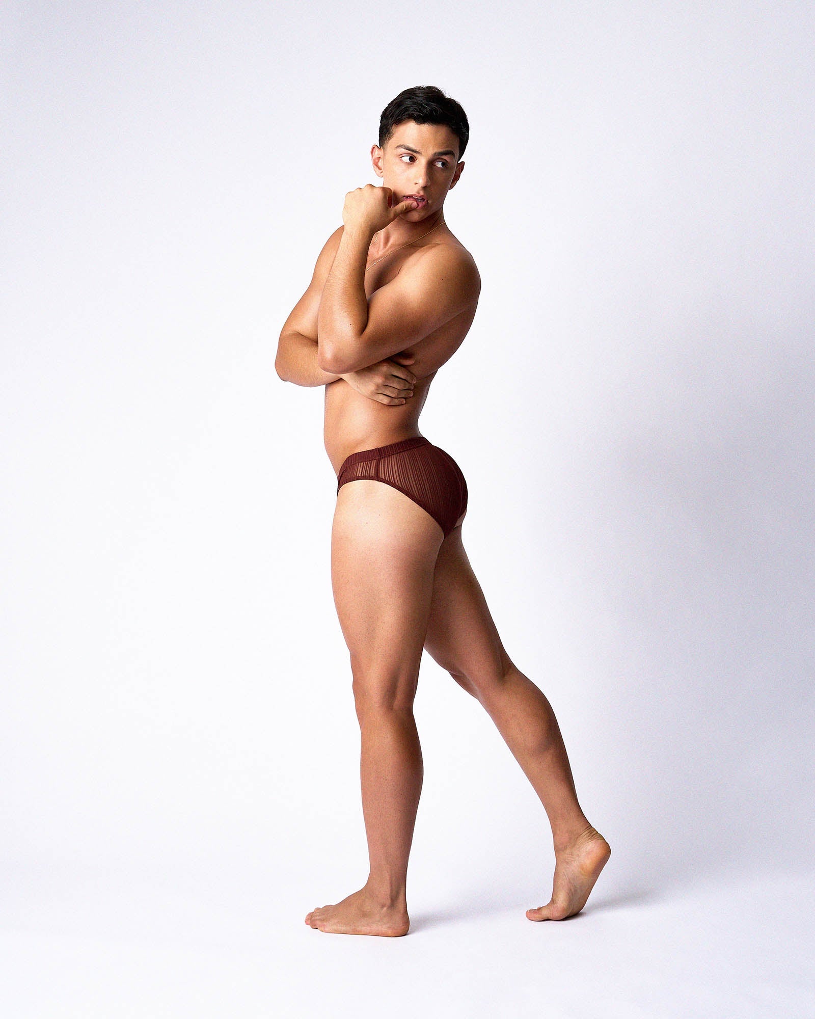 Romeo Sheer Bikini Brief - Mahogany