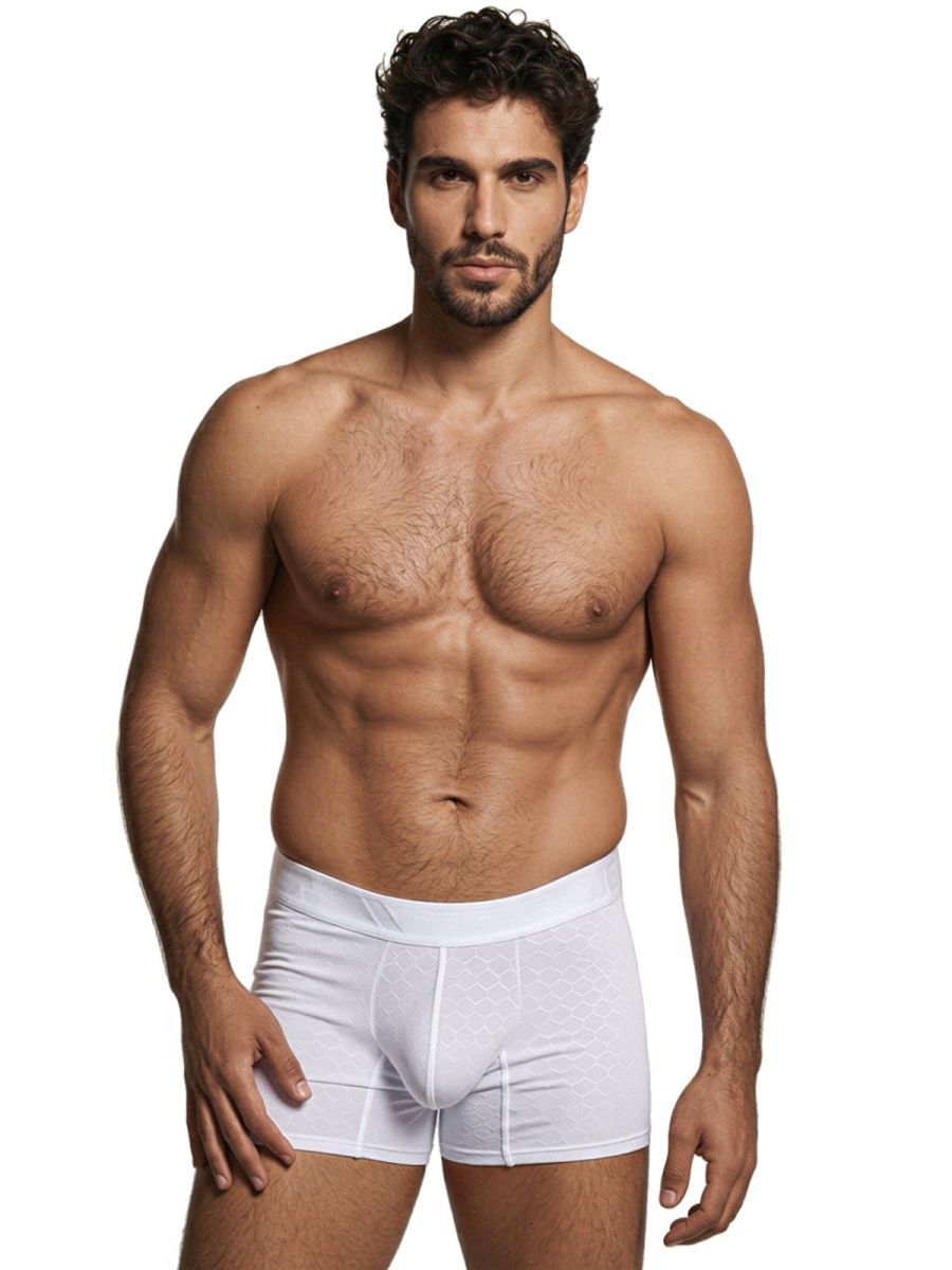Xtremen 91256 Mens Underwear Sleek Microfiber Boxer Briefs Color White