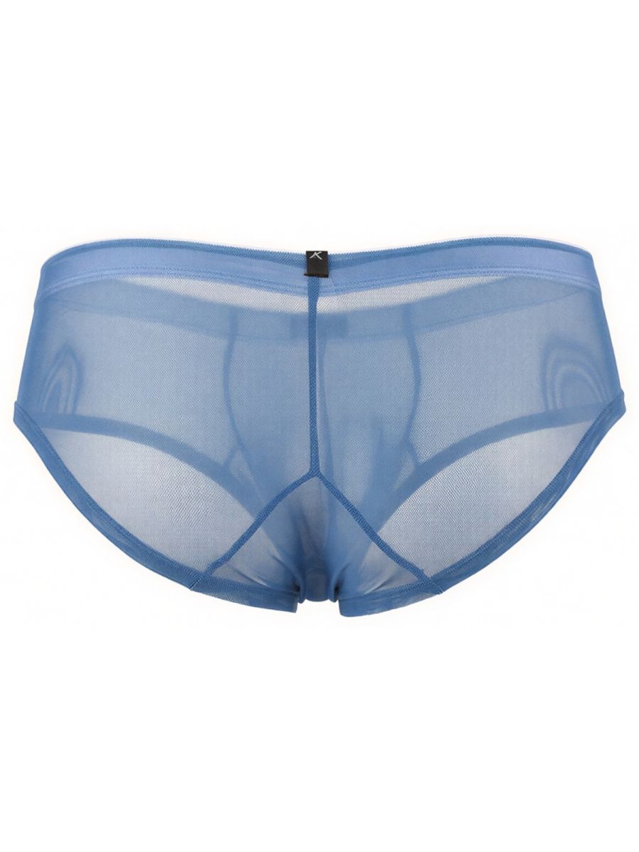 Xtremen 91263 Mens Underwear Microfiber Mesh Briefs Color Blue