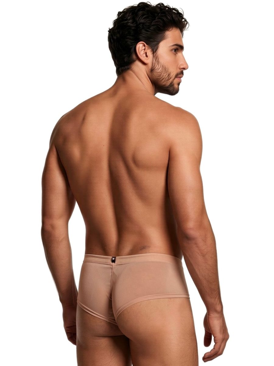 Xtremen 91263 Mens Underwear Microfiber Mesh Briefs Color Brown
