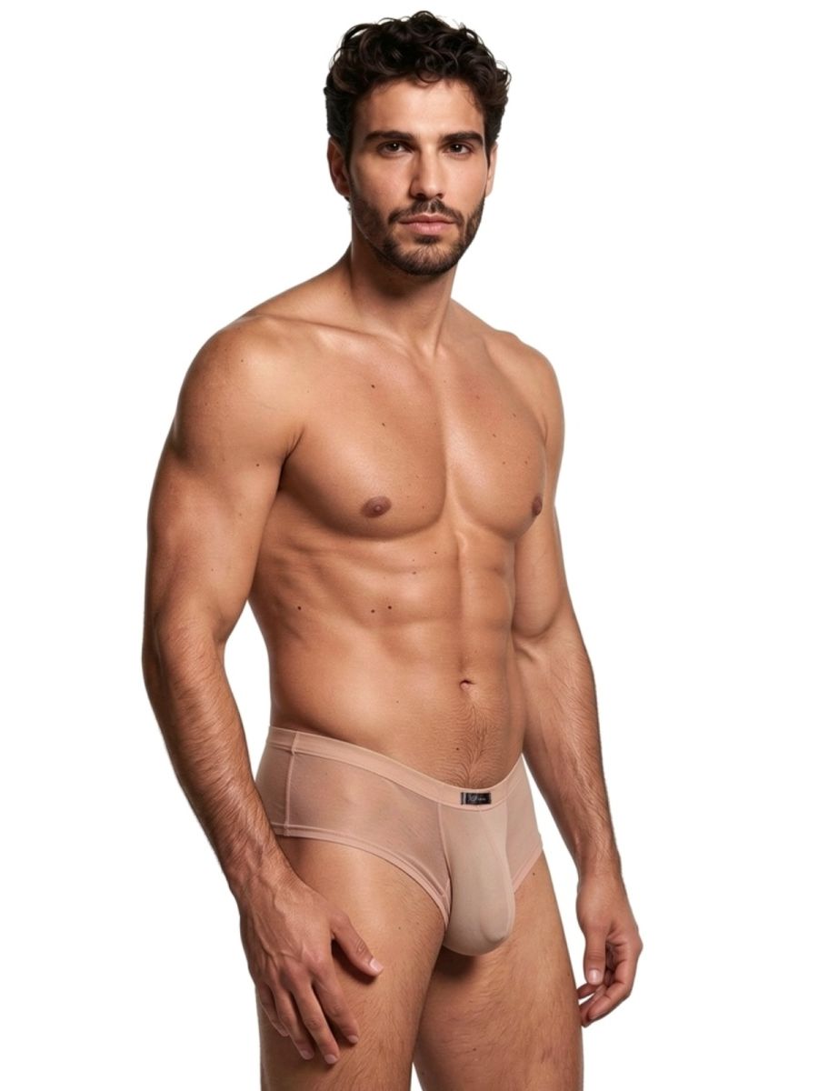 Xtremen 91263 Mens Underwear Microfiber Mesh Briefs Color Brown
