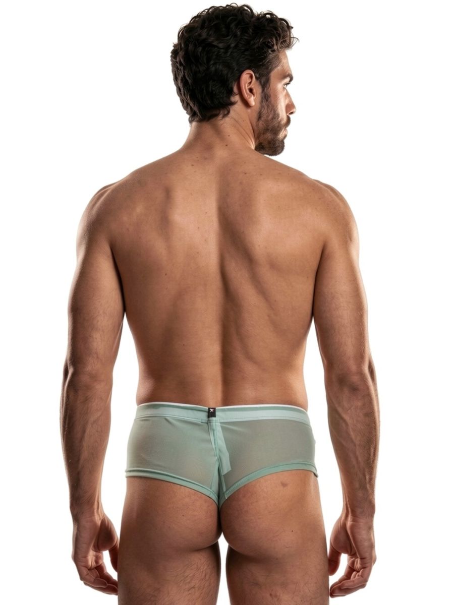Xtremen 91263 Mens Underwear Microfiber Mesh Briefs Color Green
