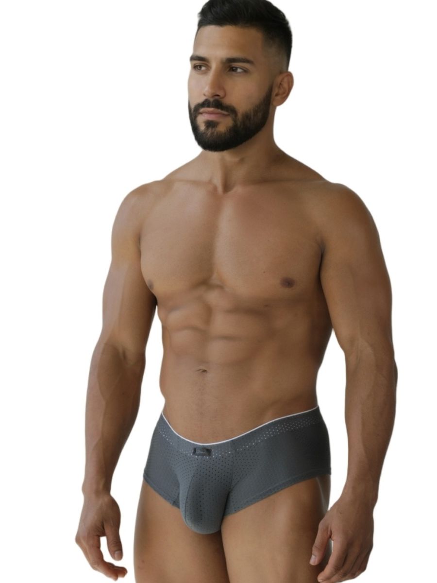 Xtremen 91269 Microfiber Mesh Briefs Color Gray