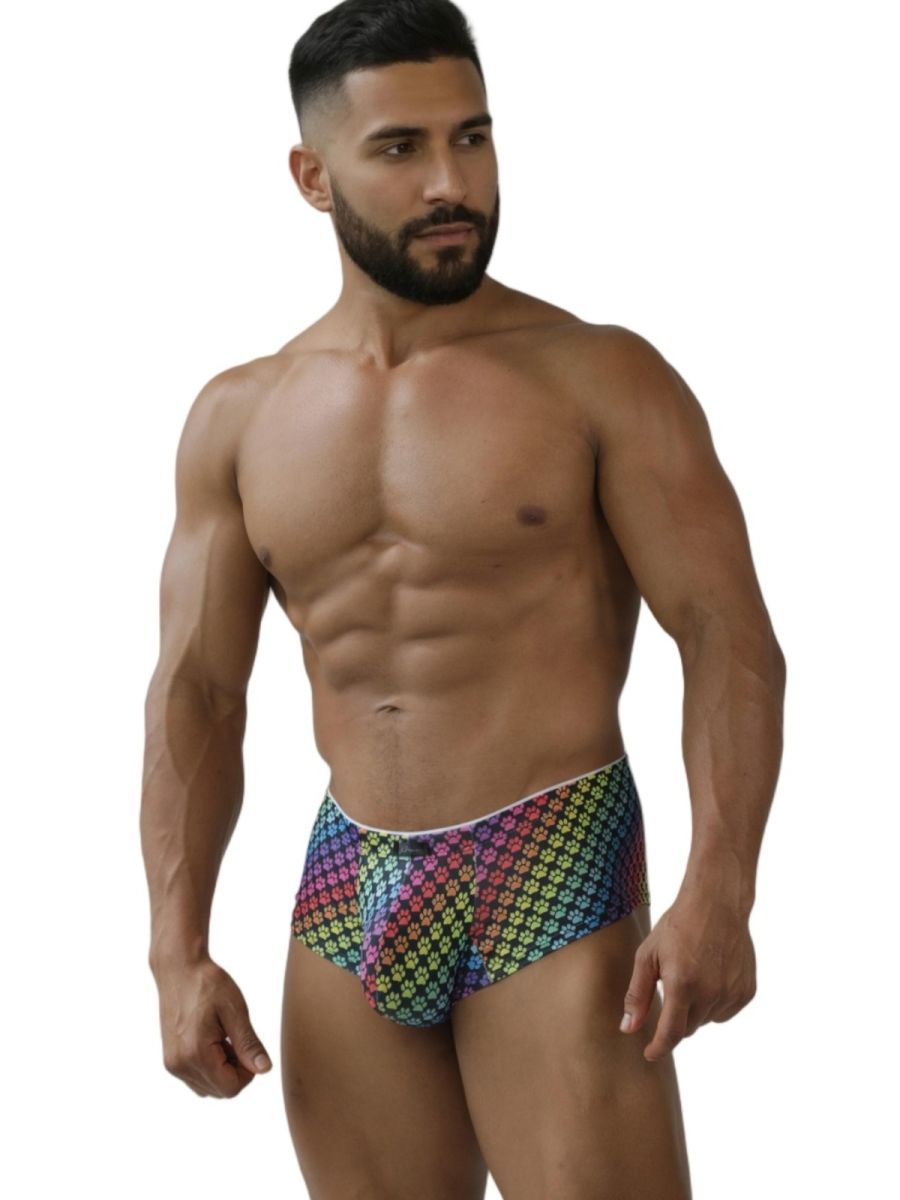 Xtremen 91283 Rainbow Printed Microfiber Briefs Color Paw print