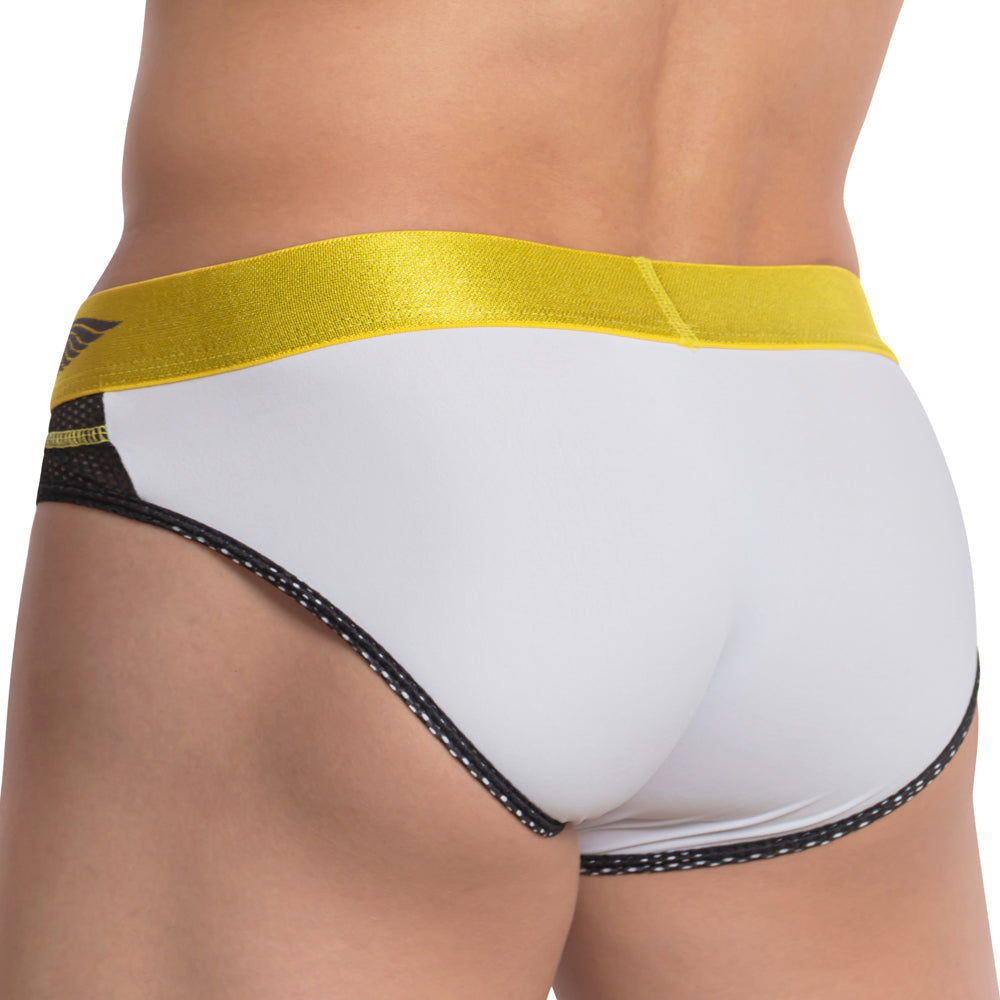 Agacio AGI013 Brief