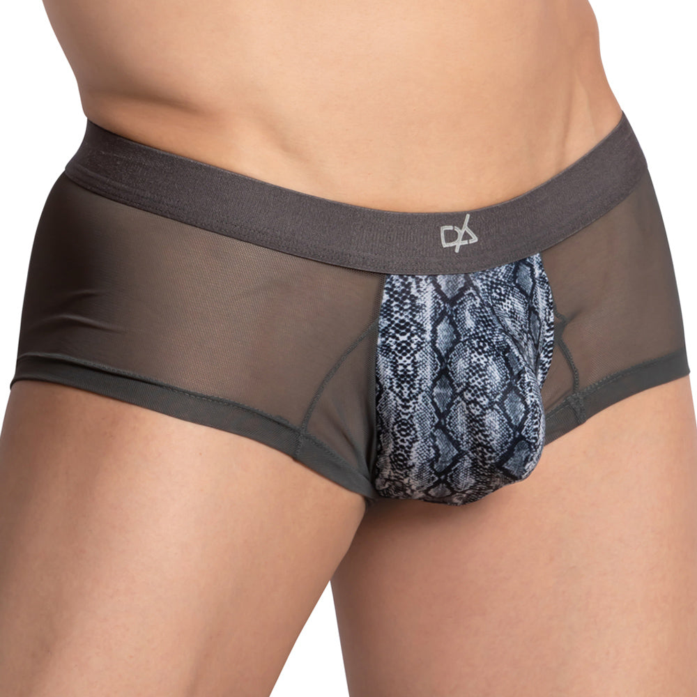 Daniel Alexander DAG011 Bikini Brief