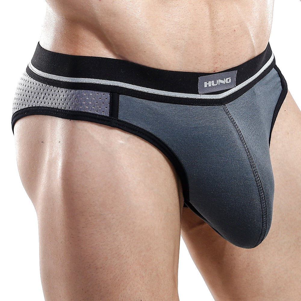 Hung HGI004 Brief