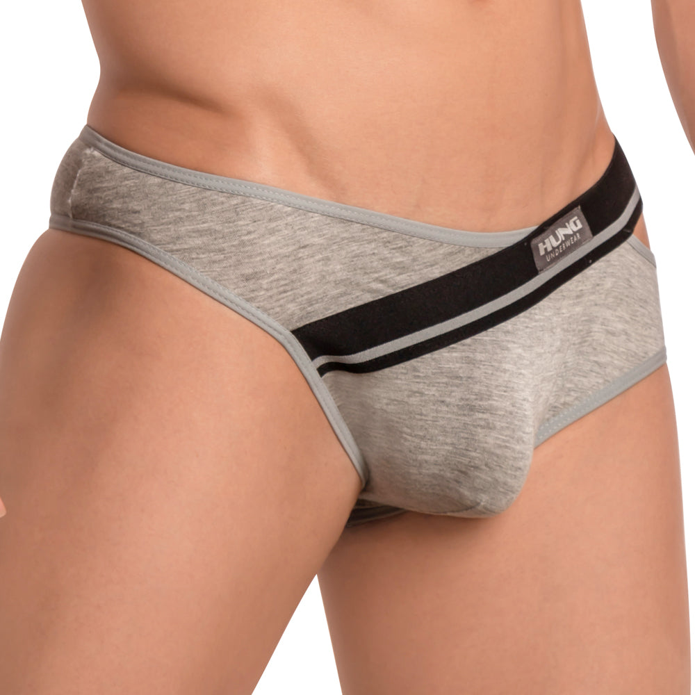 Hung HGJ014 Brief