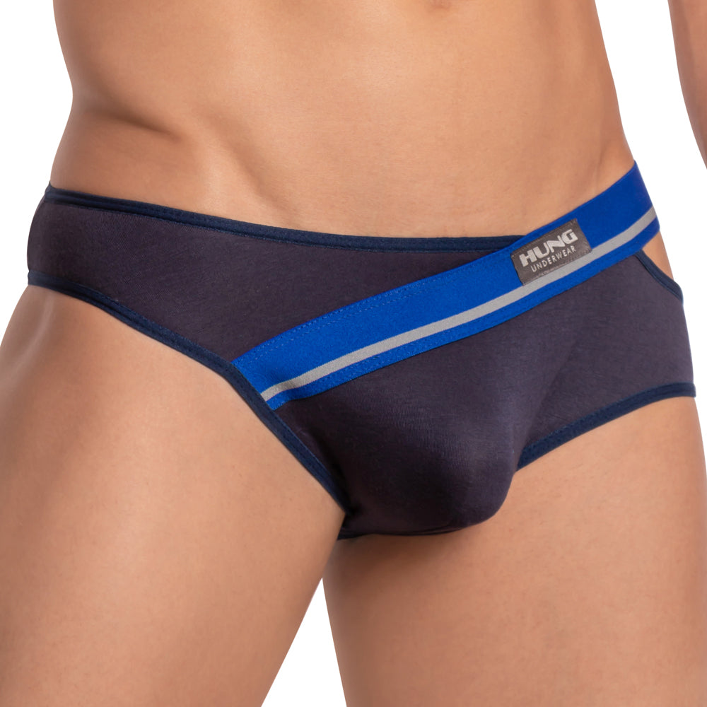 Hung HGJ014 Brief
