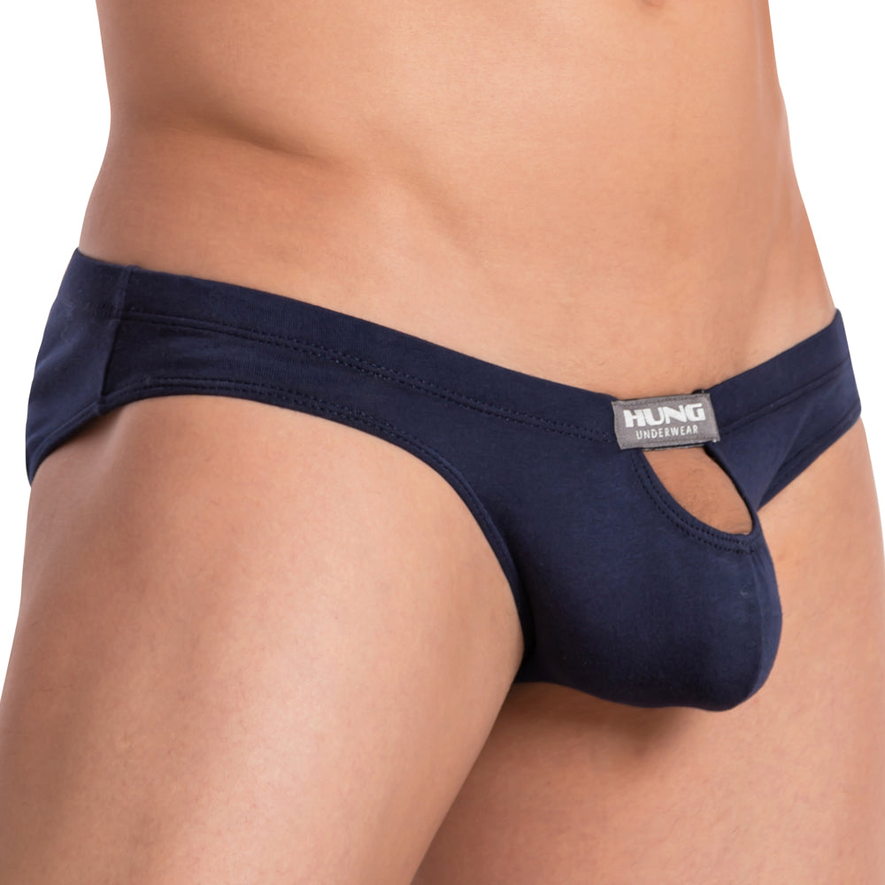Hung HGJ017 Brief