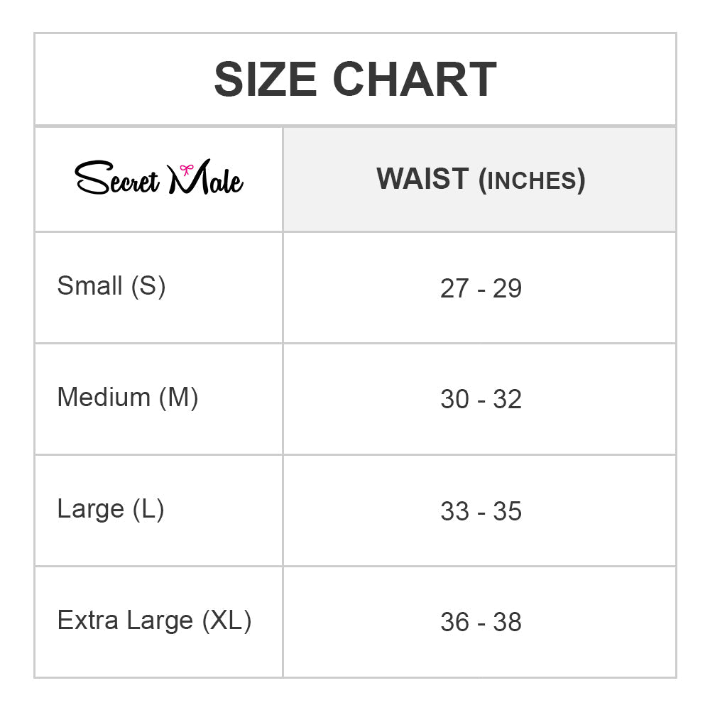 Secret Male SML021 Bikini Brief